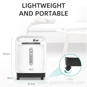 portable oxygen concentrator prices with nebulizer function